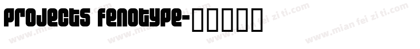 projects fenotype字体转换